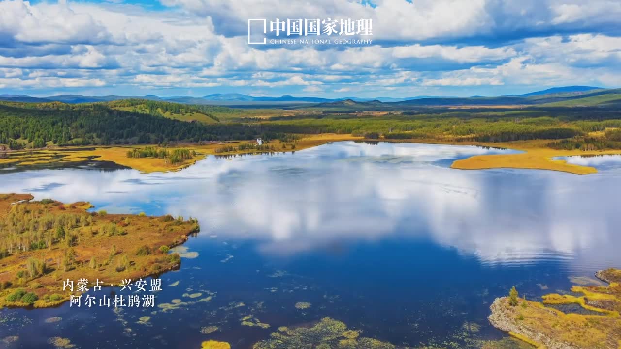 这个秋天你想去哪儿玩阿尔山的湖水均和火山有关其中杜鹃湖是火山喷发后熔岩流堵塞河道形成的堰塞湖上连松叶湖下接哈拉哈河从而这里形成了源源不断的活水秋日里的杜鹃湖有着温柔恬雅而又不失绮丽热情的独特气质