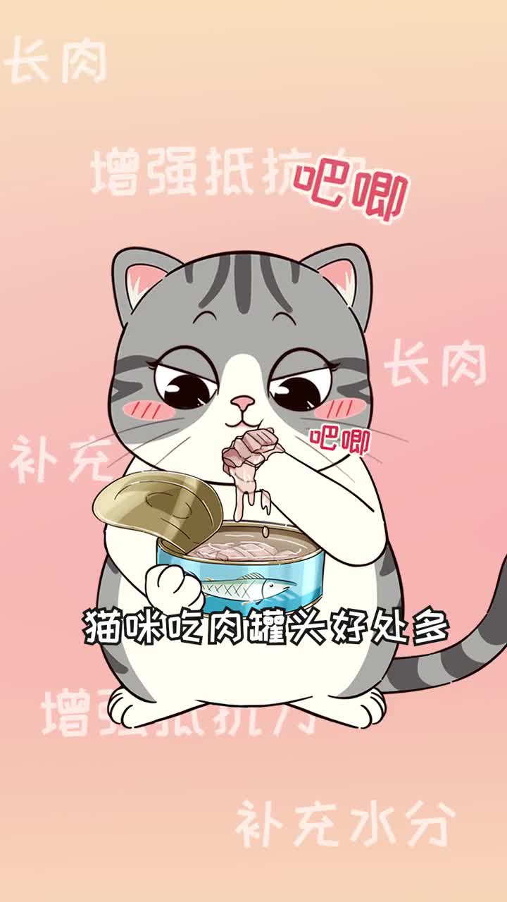猫咪吃错罐头坏处多想喂放心罐头要按这些标准挑选哦