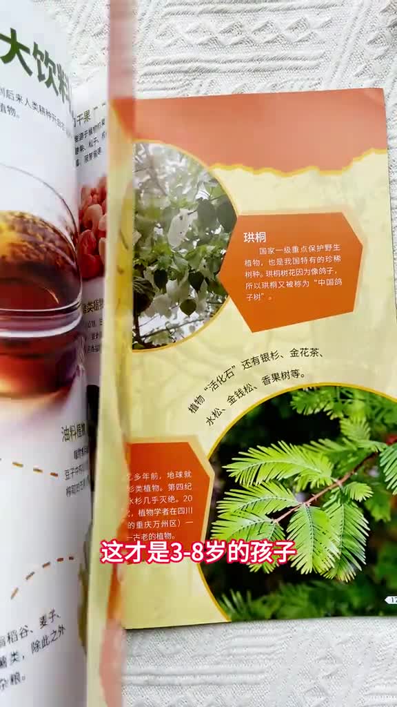 好奇少年儿童百科紧贴小学教材的