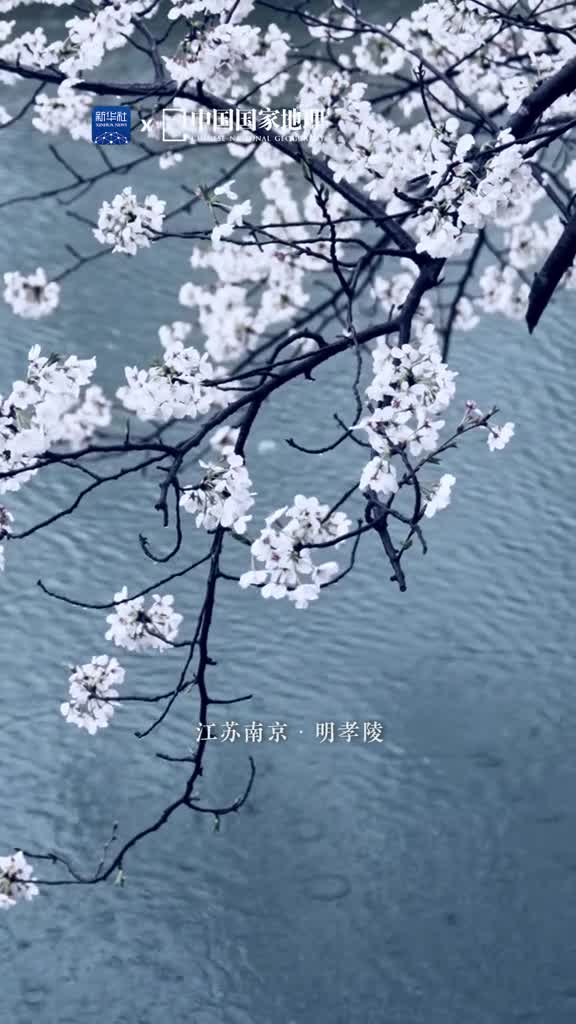 清明时节雨纷纷路上行人欲断魂丝雨连连思念绵绵在这萌者尽达的季节清明时节的雨却带着一丝忧郁勾起了人们心中无限的哀伤今天你在思念谁