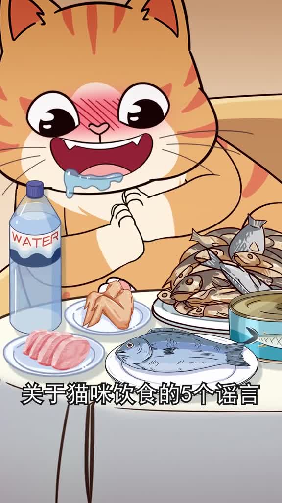 关于猫咪饮食的5大谣言你听过几个有没有中招呢