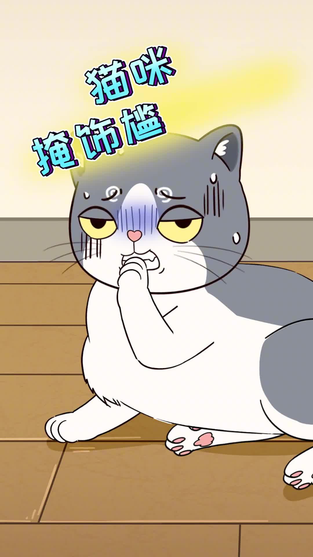 这几种行为是猫咪在掩饰尴尬你肯定没察觉过