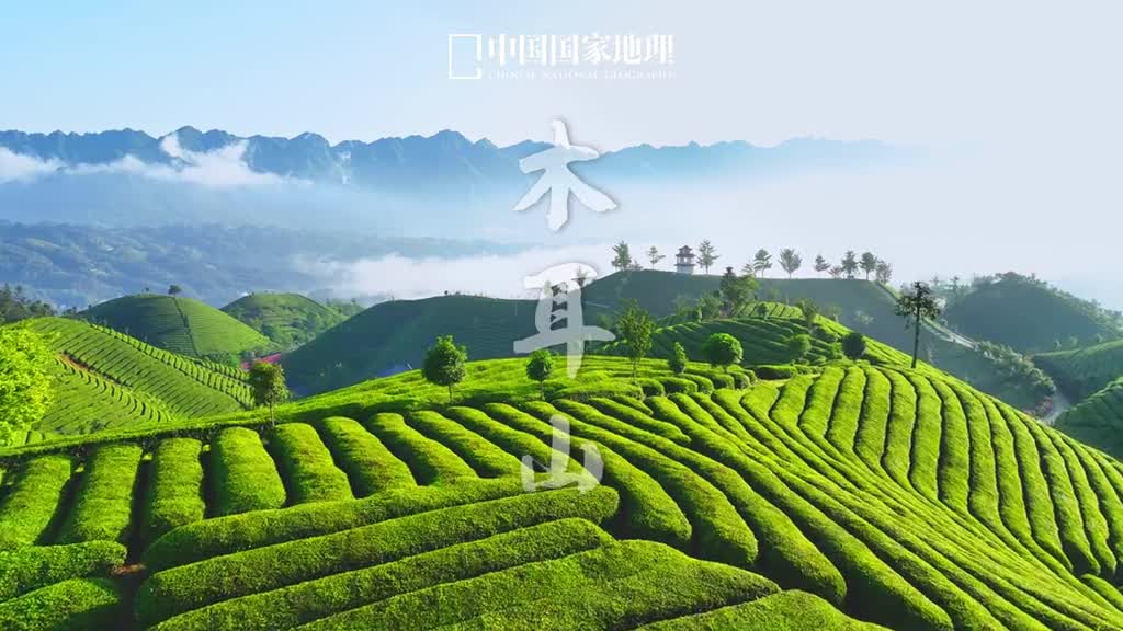 湖北避暑好去处提到湖北你会想起怎样的地理景观在四川盆地与江汉平原之间的鄂西南隐藏着高山深谷奇峰峻岭的绝美自然恩施州鹤峰县的木耳山静卧于武陵山区腹地有万里茶道茶源地之称茶林叠翠绿浪万顷