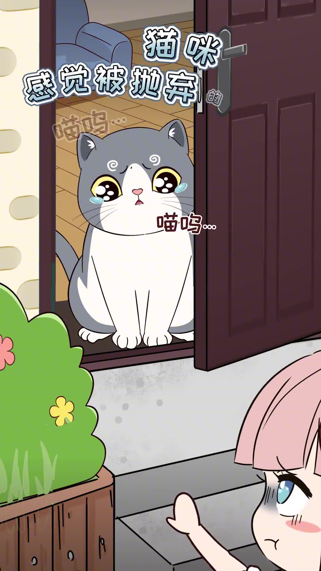 这几个瞬间猫咪感觉你抛弃了它可见有多么爱你哟