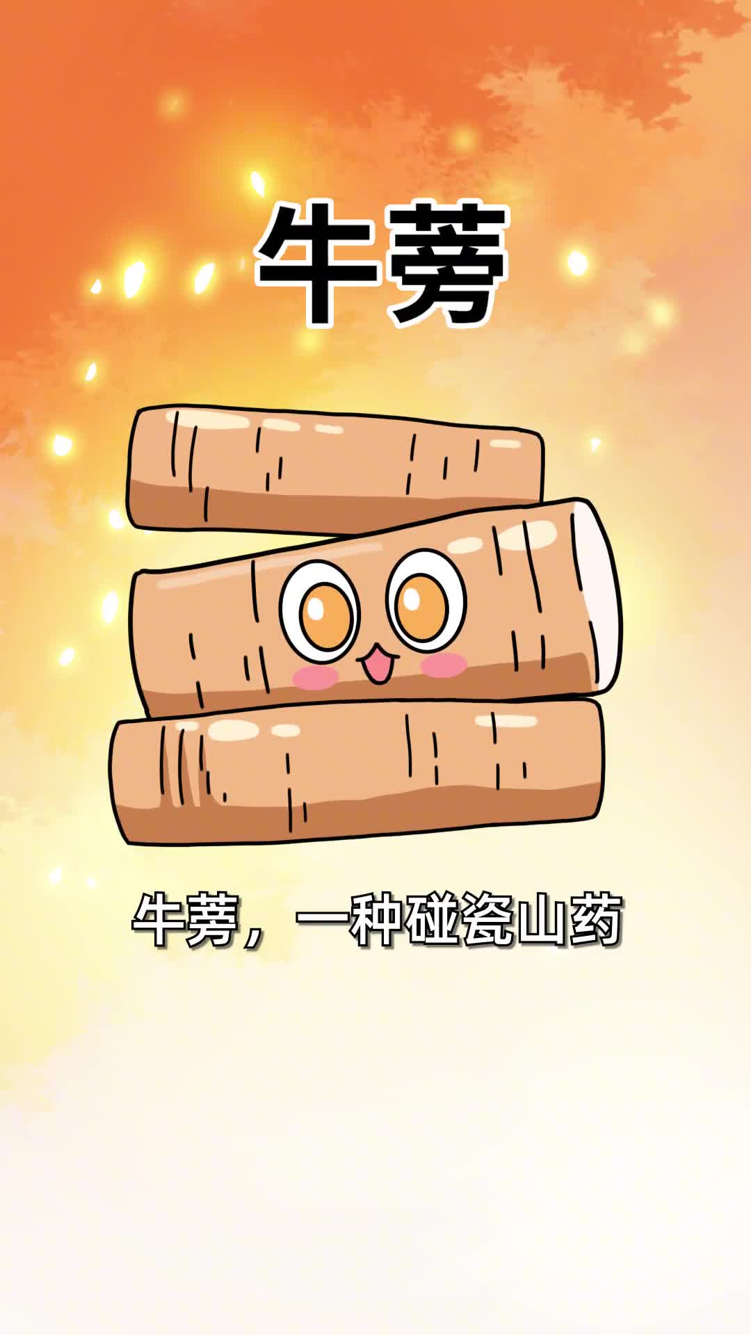 第64集90的人不知道的冷知识衣裤上的魔术贴发明灵感竟是它