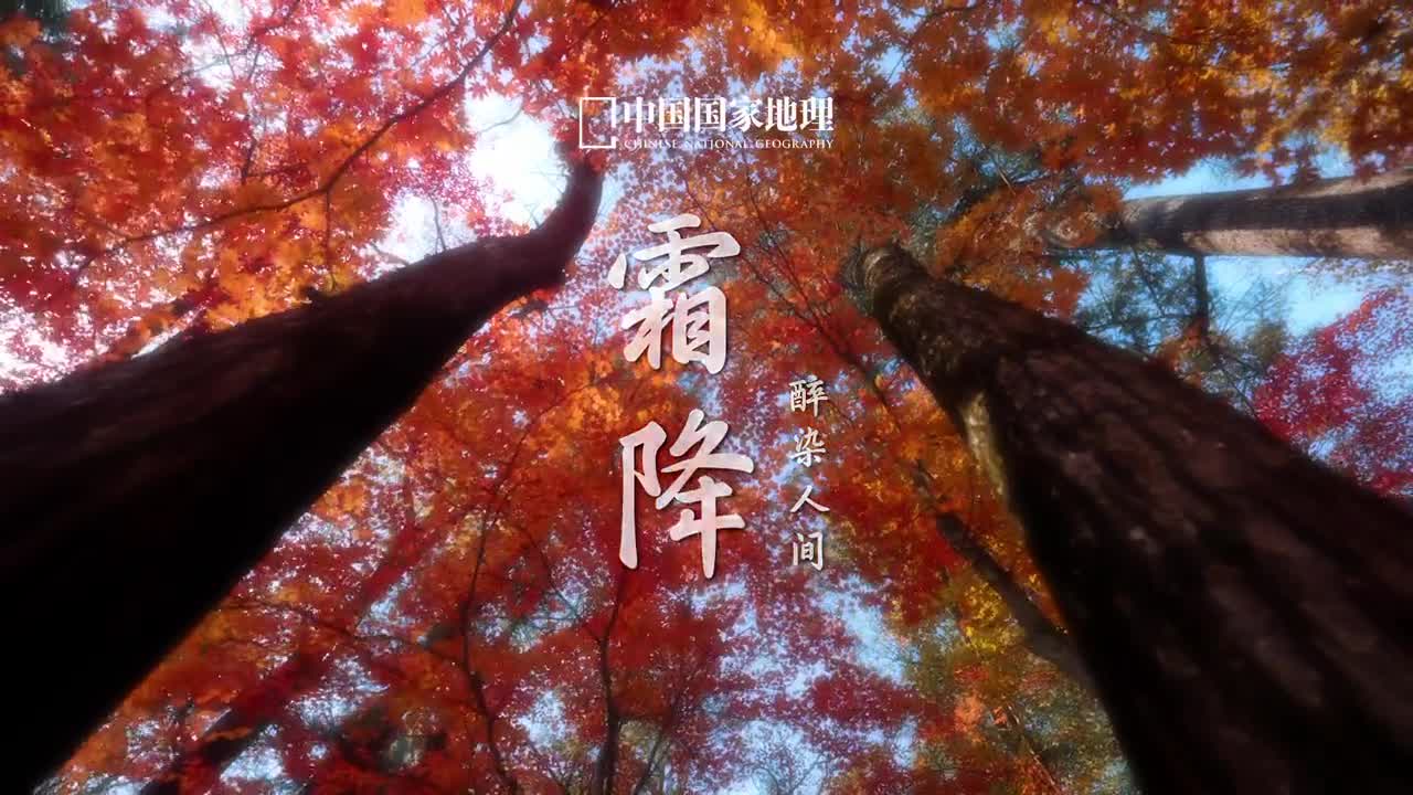 秋风飒飒露结为霜