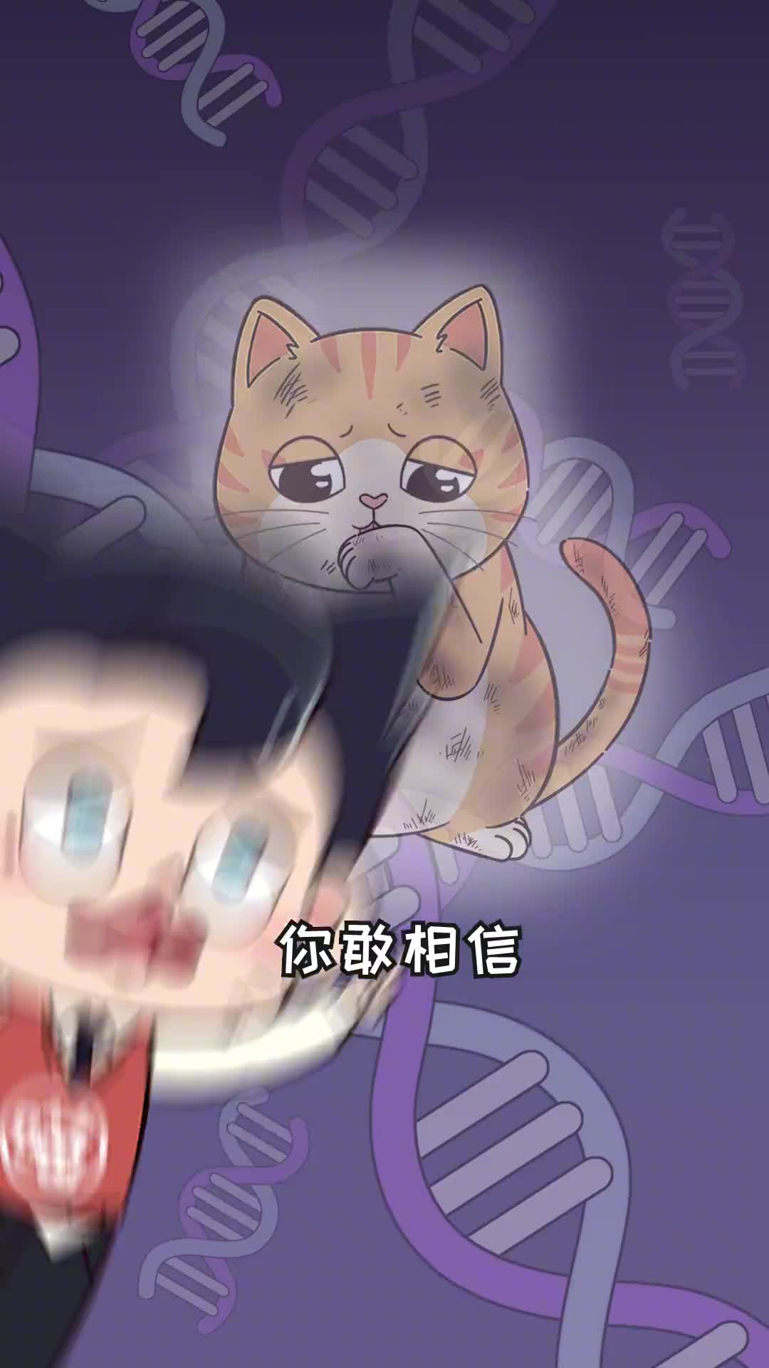 养了折耳猫千万不要遗弃否则流浪折耳越来越多