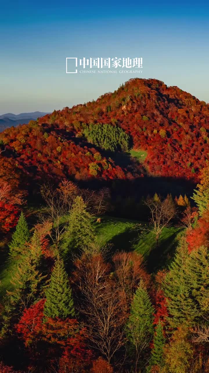 早安愿你行有所向所愿皆所得今天是2024年10月31日甲辰年九月廿九星期四人生一世草木一秋轻书岁月风景细品人间滋味不以物喜不以己悲早安愿你行有所向所愿皆所得