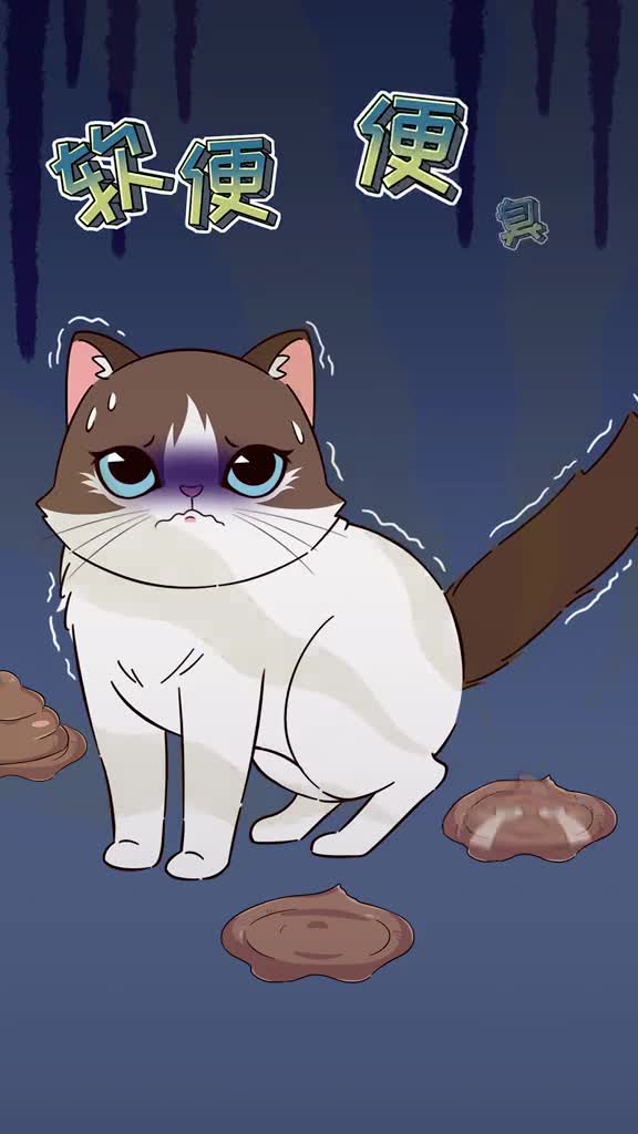 猫咪软便简直是铲屎官的噩梦想让猫远离软便便臭关键要注意这一点