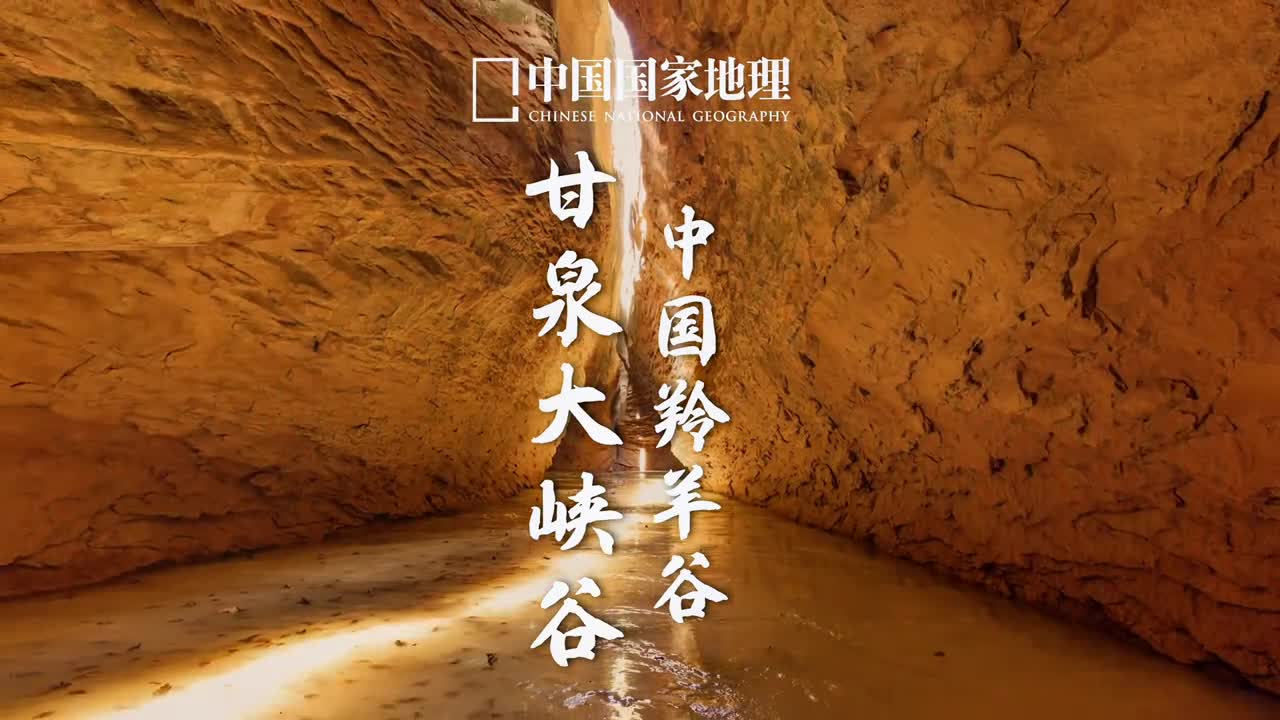 来黄土高原看见大地深处的小心思位于陕西延安的甘泉大峡谷因酷似美国羚羊谷而红遍网络这样的景观被叫做地缝千沟万壑本来就是黄土高原的特点而在陕北黄土高原区的黄土之下还隐藏着白垩系砂岩形成了许多特殊的丹霞景观像这样的沟谷型丹霞不但能让人钻进来更能看见大地深处的小心思