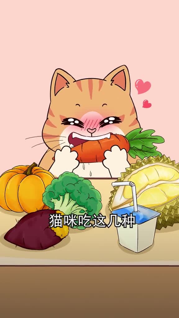 猫咪吃这几种人吃的食物有很多好处你给自家猫吃过吗