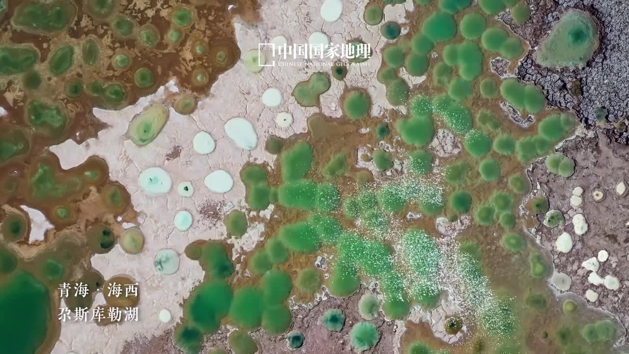 走进自然奇观的魔幻之境造型奇异的风蚀雅丹瑰丽壮美的丹霞地貌危峰耸峙的断壁深峡在大地之上演绎世间万象铺展锦绣华章置身其间仿佛能在这静默的自然景观中窥见亿万年地貌演化的沧桑