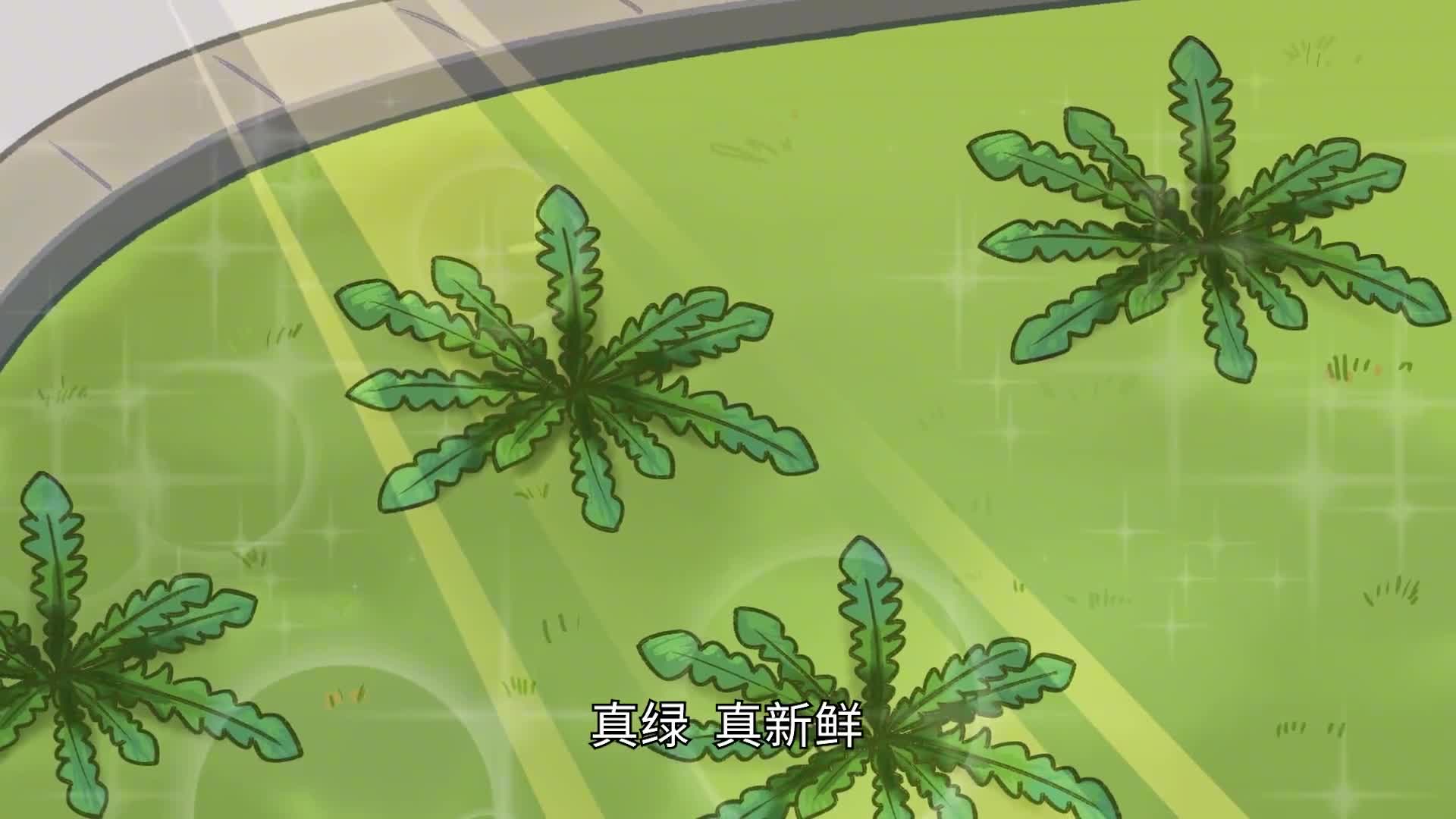 绿化带里挖野菜吃了会中毒