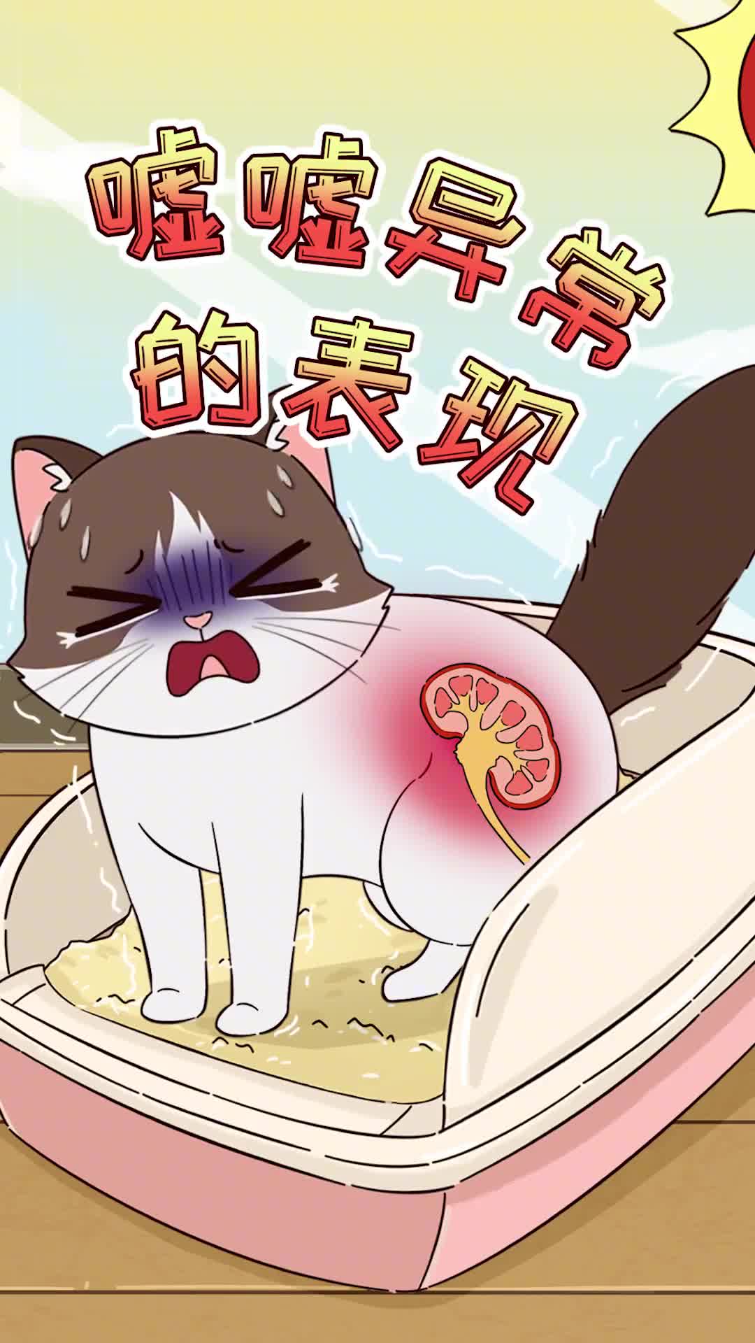 猫咪嘘嘘异常有这些表现家长要早点了解哦