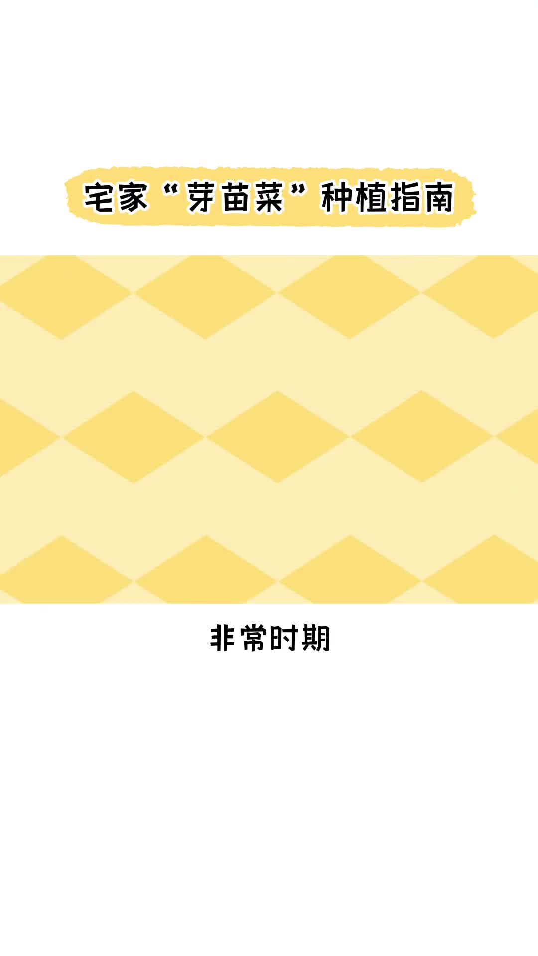 宅家芽苗菜种植指南