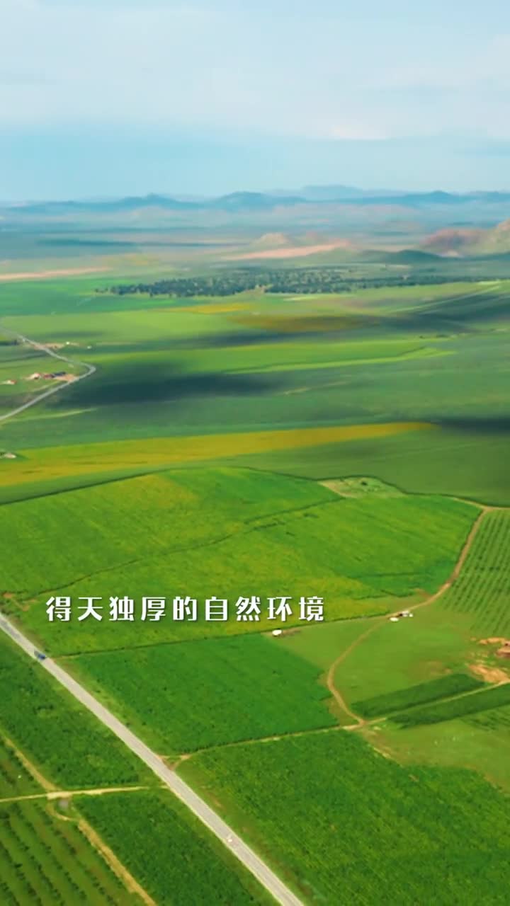 阳光里的新鲜质造快乐幸福的味道让我们走进洽洽透明工厂在海拔一千多米的万亩葵园一起近距离感受