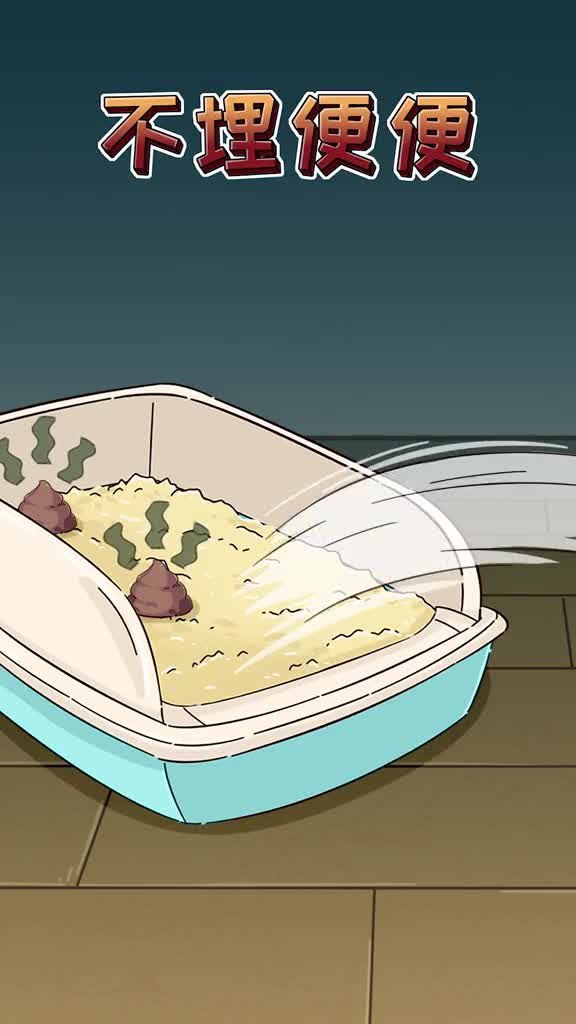 猫咪不埋便便可能是你的锅你知道怎么纠正吗