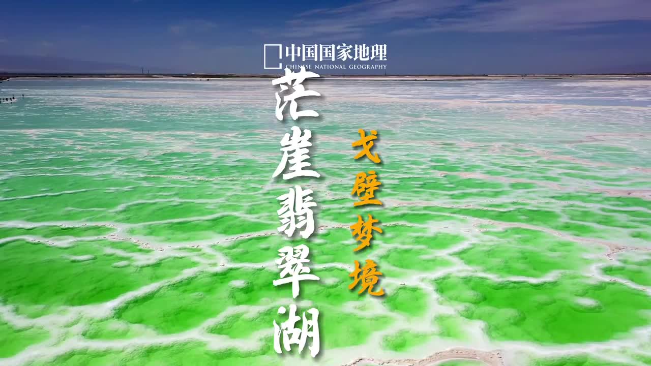 当你穿越荒蛮苍凉的大漠戈壁眼前突然出现一抹青翠的亮色这种视觉冲击感会有多强烈