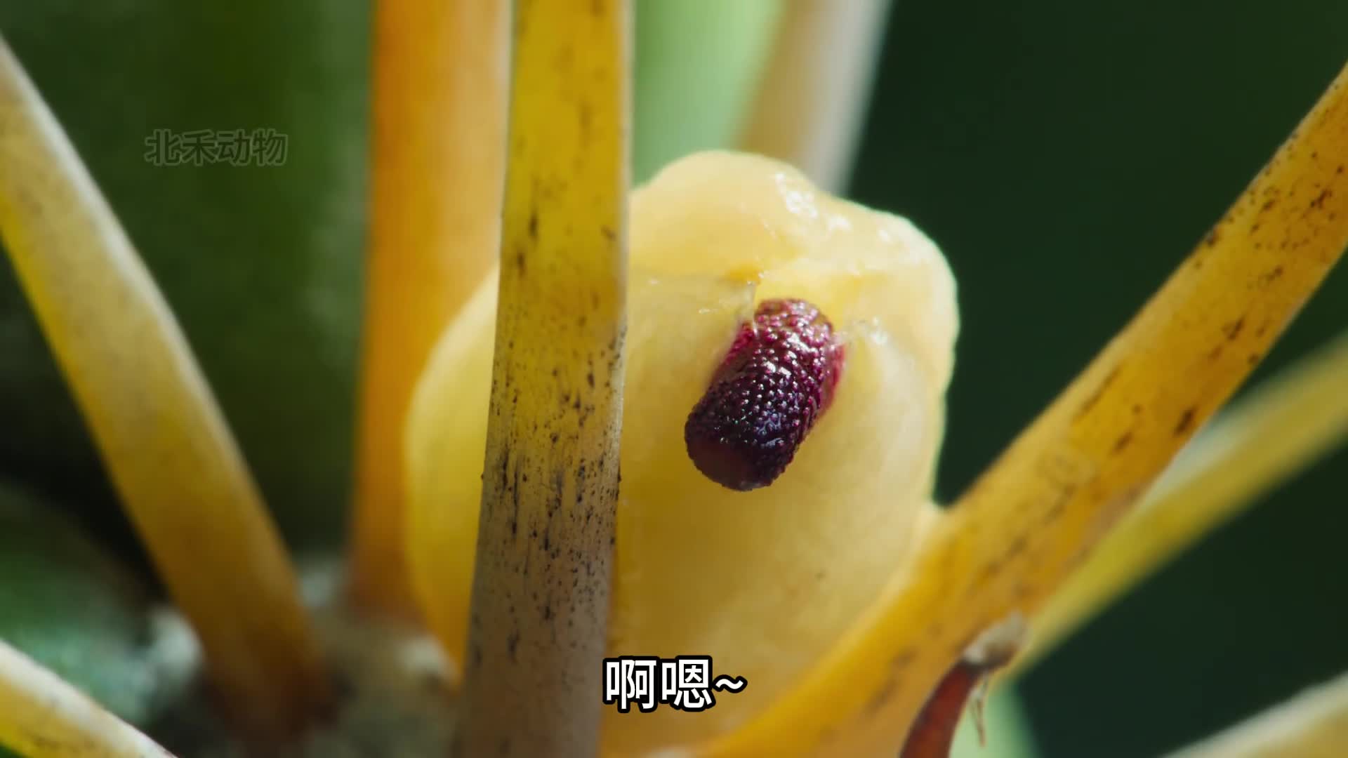 能靠别人就不靠自己