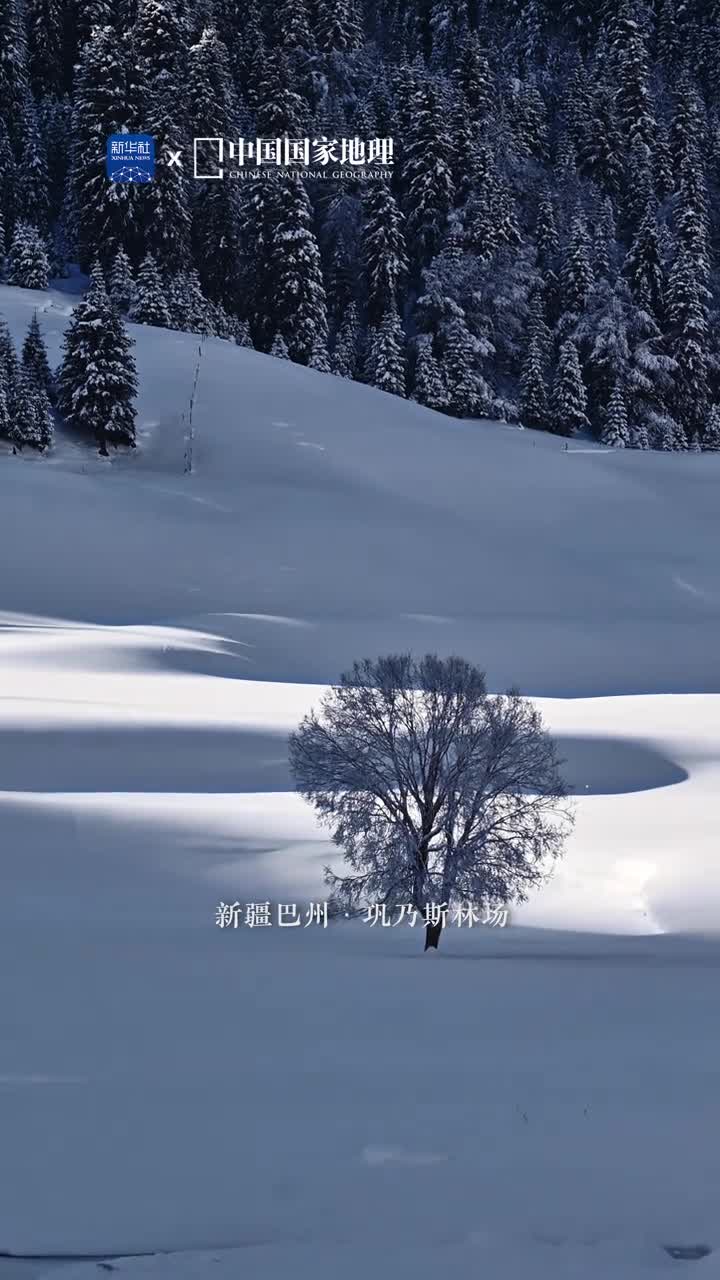 这就是梦中的雪景吧此般银装素裹的场景宛若置身童话世界空山静雪这是雪后巩乃斯林场的浪漫