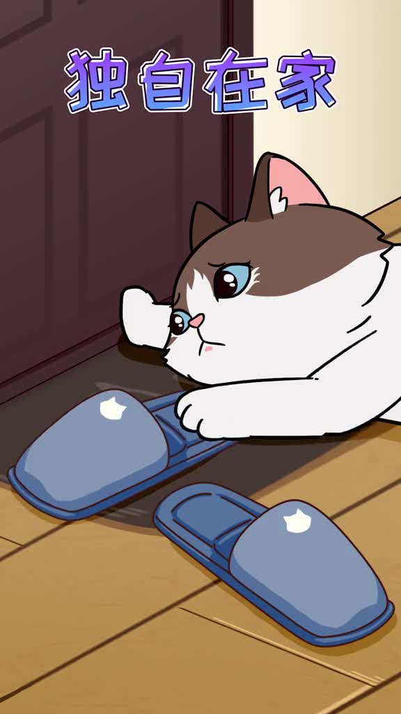 猫咪独自在家其实也有一些安全隐患哦看看你有没有忽视呢