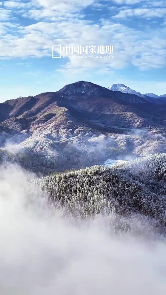 新的一天愿你眉目舒展喜乐长安今天是2024年12月29日甲辰年十一月二十九星期日岁末将至好事正酿新的一天愿你眉目舒展喜乐长安
