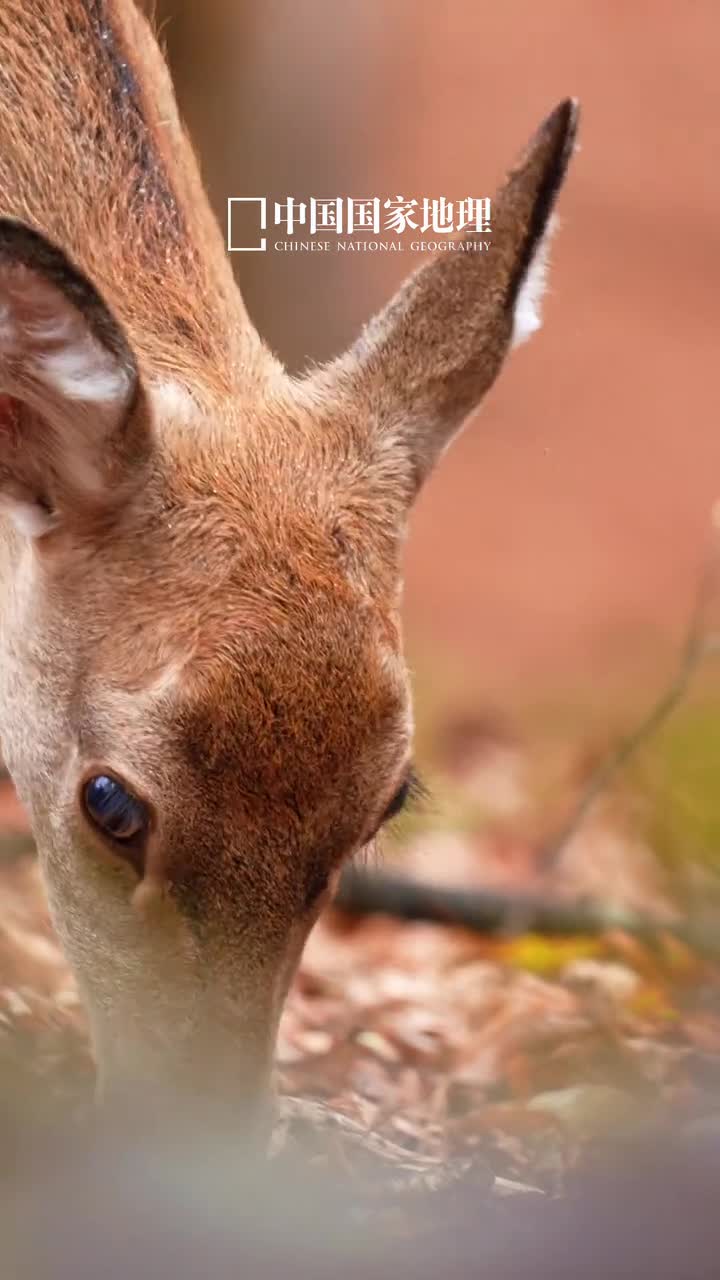 早安生活不是等待风暴过去而是学会在风雨中跳舞今天是2024年10月17日甲辰年九月十五星期四阳光正好微风不燥愿您的每一天都充满阳光每一个笑容都洋溢着幸福生活不是等待风暴过去而是学会在风雨中跳舞