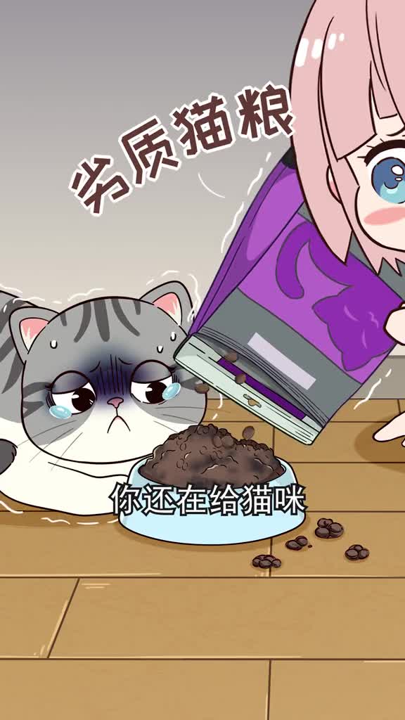 选猫粮容易犯的几个误区别再给猫吃劣质粮了小心会缩短猫咪寿命