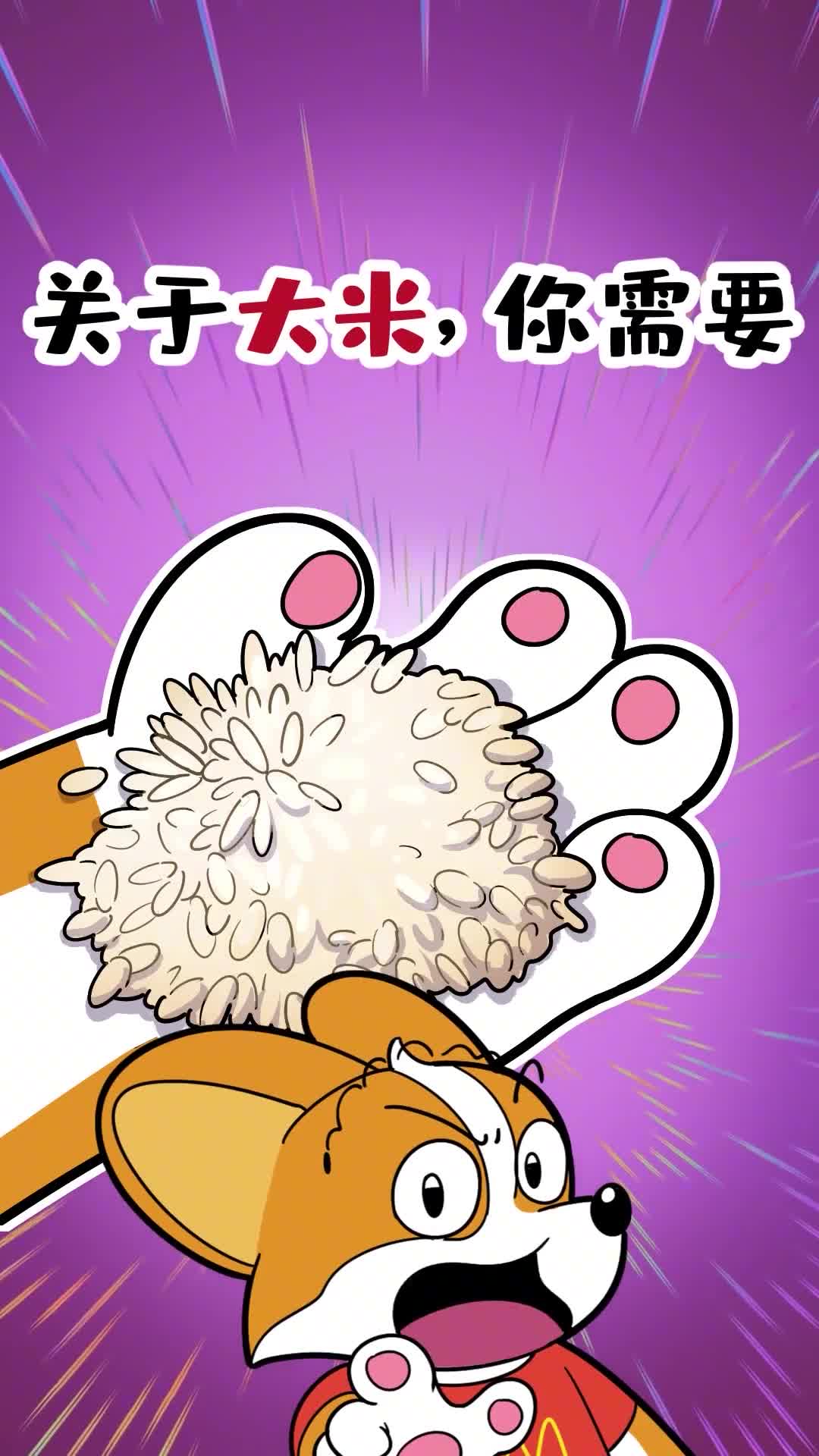 关于大米你需要知道的4个冷知识