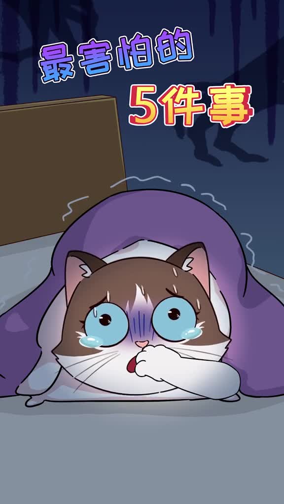 猫咪一生最害怕这5件事最后一个千万别做哦