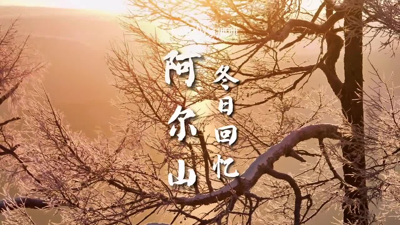 把冬日最美的样子留在记忆中长恨冬归无觅处不知转入此中来北方的春天总是姗姗来迟在春风还未抵达北国前在日出的阳光穿过银色森林时再去看一眼吧