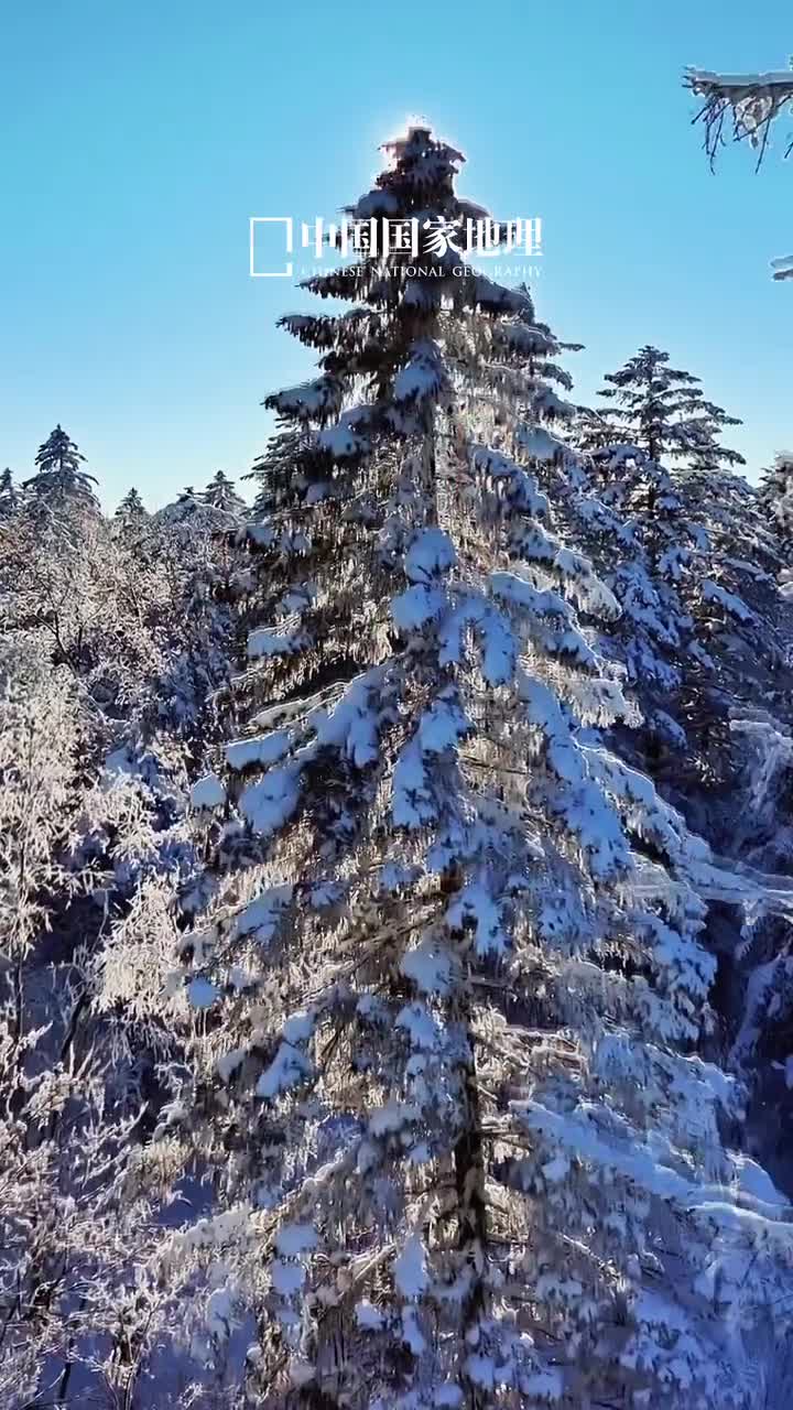 新的一天愿你心怀美好乐享安宁今天是2025年2月16日乙巳年正月十九星期日时光安然心无恙岁月静好伴君行新的一天愿你心怀美好乐享安宁