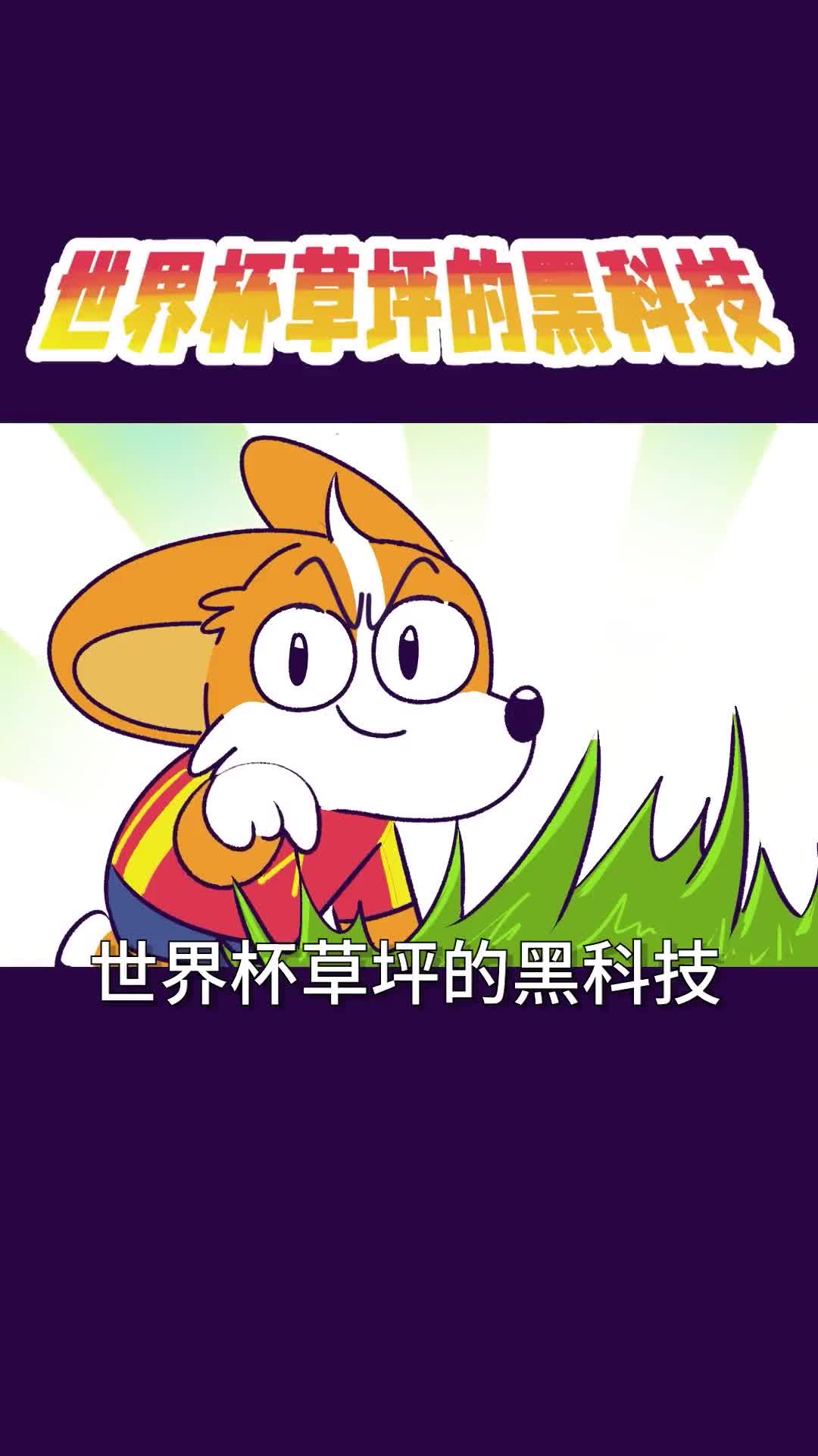 世界杯草坪的黑科技源自中国