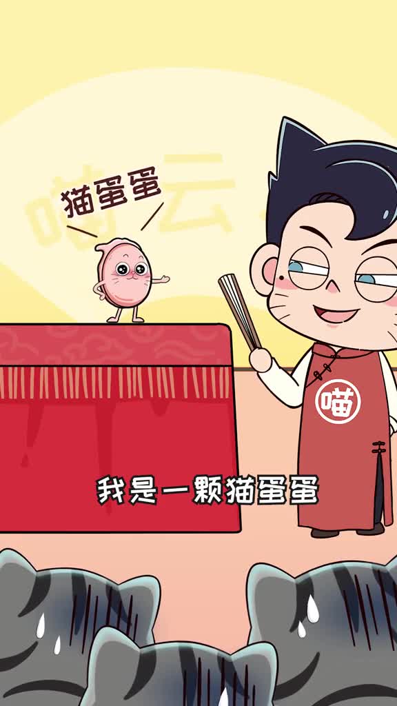 猫蛋蛋泡酒下火锅这些奇葩的猫蛋蛋保存方法你都听过嘛