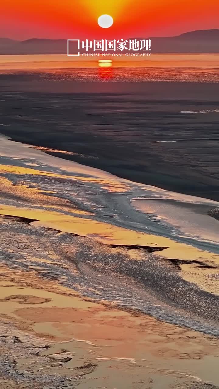 被钱塘江畔的神树冰脉震撼到了当你用无人机视角欣赏寒潮来临后的钱塘江畔一定会被大自然的艺术深深折服冰雪将往复冲刷形成的道道潮沟定格让人们有机会仔细感知这无限延伸生命的脉络茂密的枝桠遵循天地与自然的规律自由生长似乎在诠释着不息的生命力量