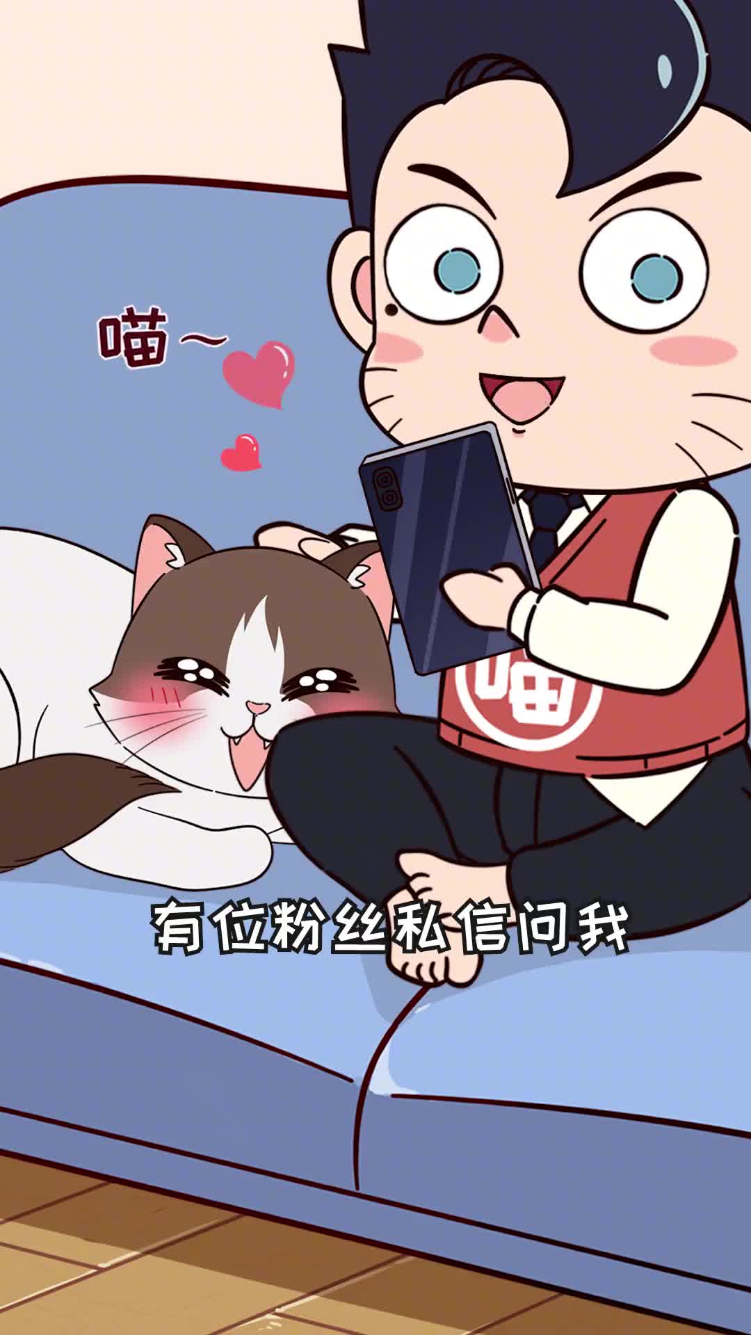 猫眼睛红肿怎么办