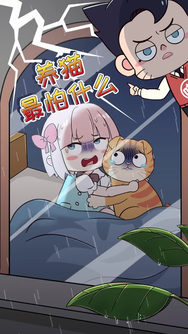 每位铲屎官都害怕的这件事跟猫咪打好体质息息相关