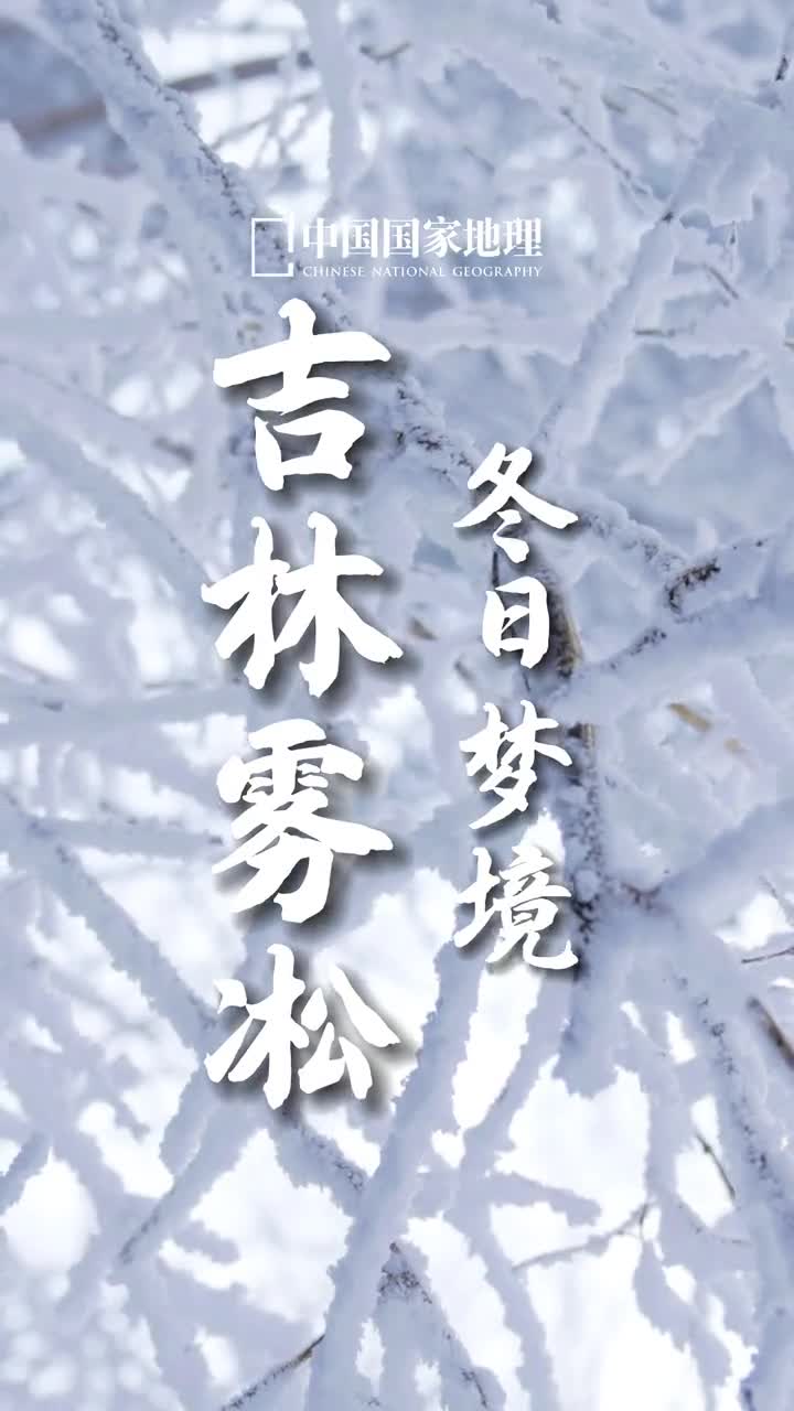 错过了这个让人咬牙切齿的秋不能再错过这个晶莹剔透的冬