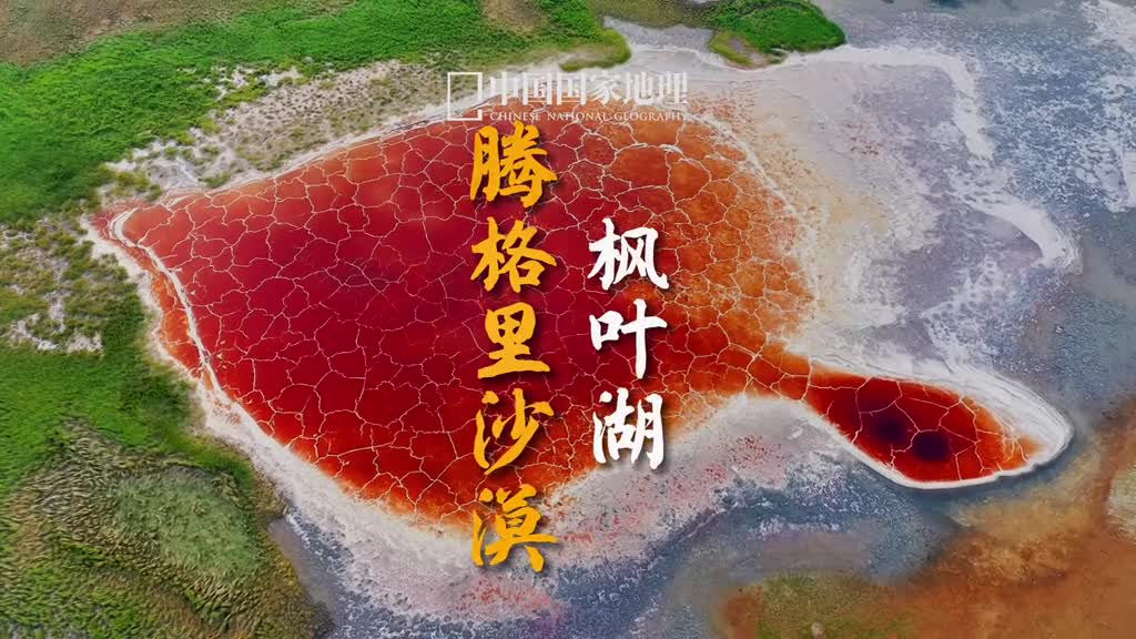 摄影师在腾格里沙漠拍到的无名盐湖形似枫叶我们暂且就叫它枫叶湖吧
