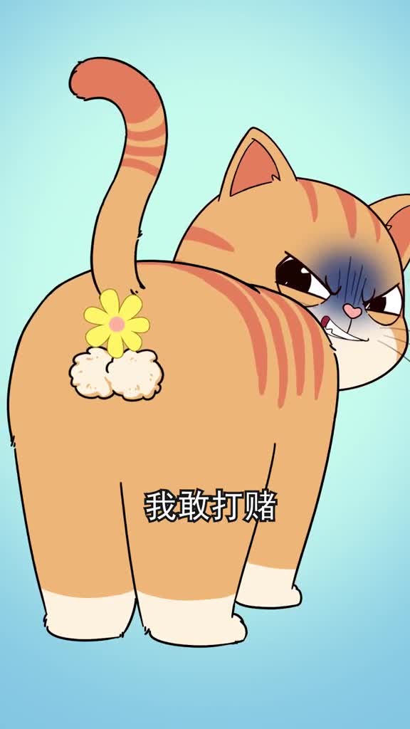 猫咪重口味冷知识我敢打赌你一个也没听过