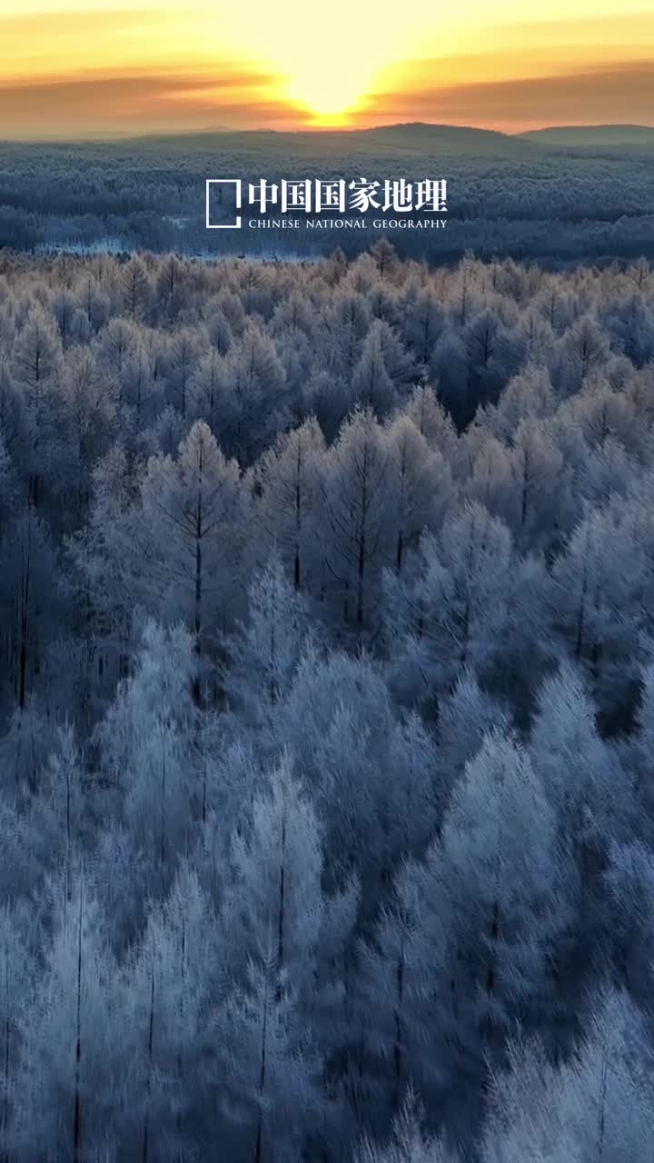 早安愿你顺心如意皆得所愿今天是2024年12月2日甲辰年十一月初二星期一新的一周开启美好正在发生元气满满奔赴新的旅程早安愿你顺心如意皆得所愿