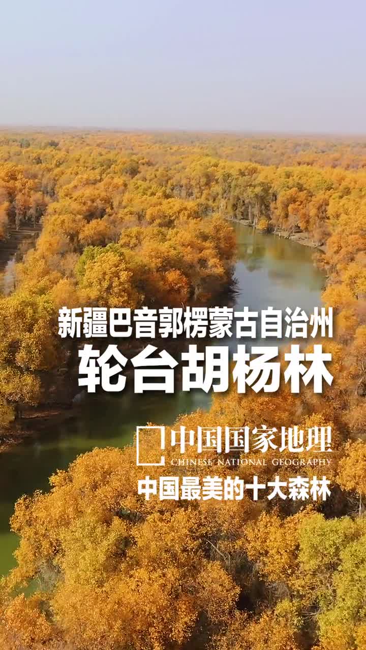 胡杨生而千年不死死而千年不倒倒而千年不烂在新疆有一种精神叫胡杨精神胡杨生于荒漠长于荒漠但肆虐的风沙不能将其击败贫瘠的土地也不能让其退缩胡杨林坚毅自强不息风骨凛凛挺立风沙线在风霜雪雨中忠诚地守望家园