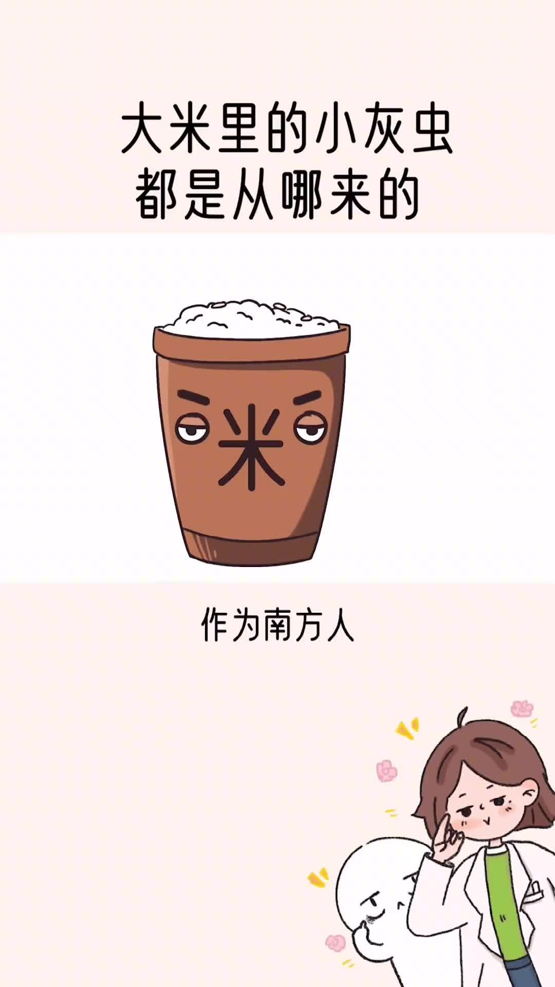 大米里的小灰虫都是从哪冒出来的