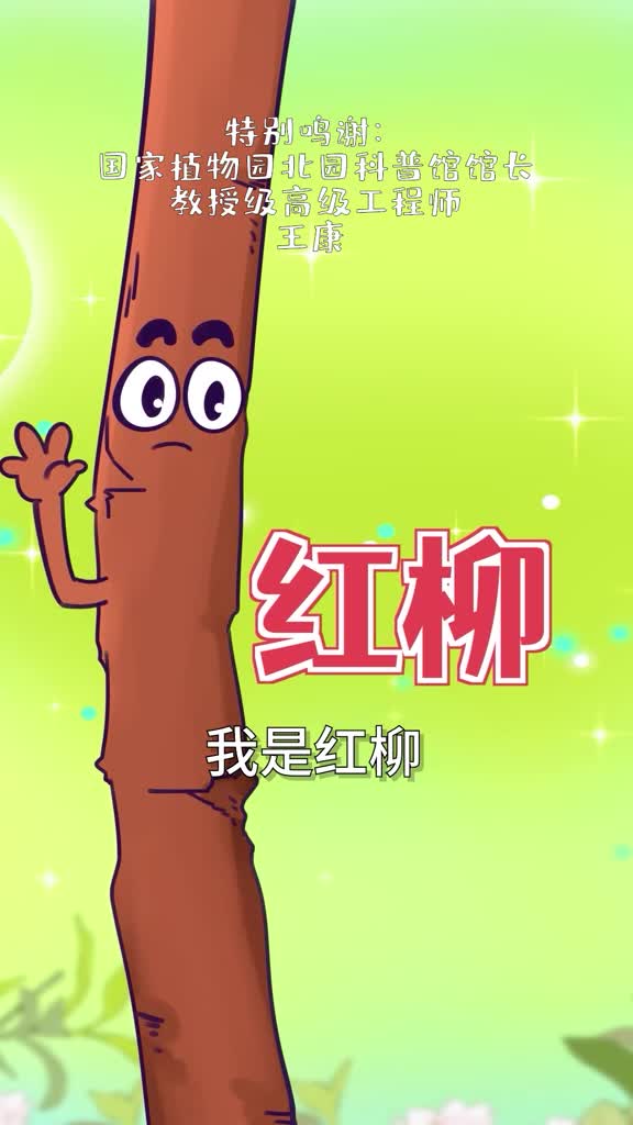 红柳做的大肉串真的更好吃吗