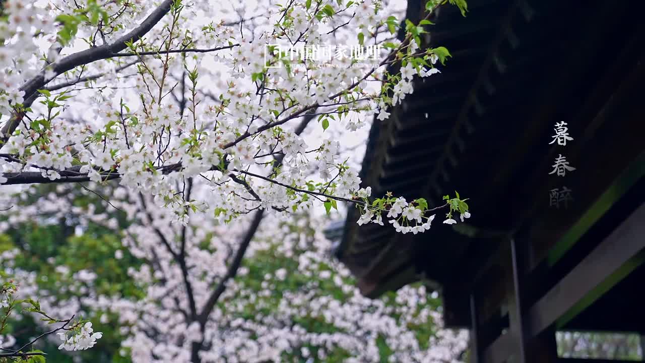 细雨缠绵思念悠悠又是一年清明你是否期盼过时光倒流如初与故人重逢人间年华有限自然风月无边与天地恒久的美丽相比浮生若梦为欢几何缅怀故人之时也别忘了珍惜当下拥抱春天