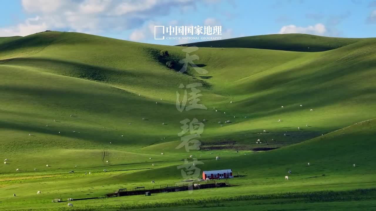 这就是我想去看的大自然旷野无涯白云悠然牛羊散漫一切都那么自由这是夏日草原无可替代的魅力对于逐水草而居的游牧民族而言回荡着悠扬牧歌的草原是他们心灵深处最瑰丽的天堂其辽远如诗舒展如画苍茫而静谧坦荡且从容无论是笔端的描绘还是镜头的捕捉都难以穷尽草原温润宽广的胸怀