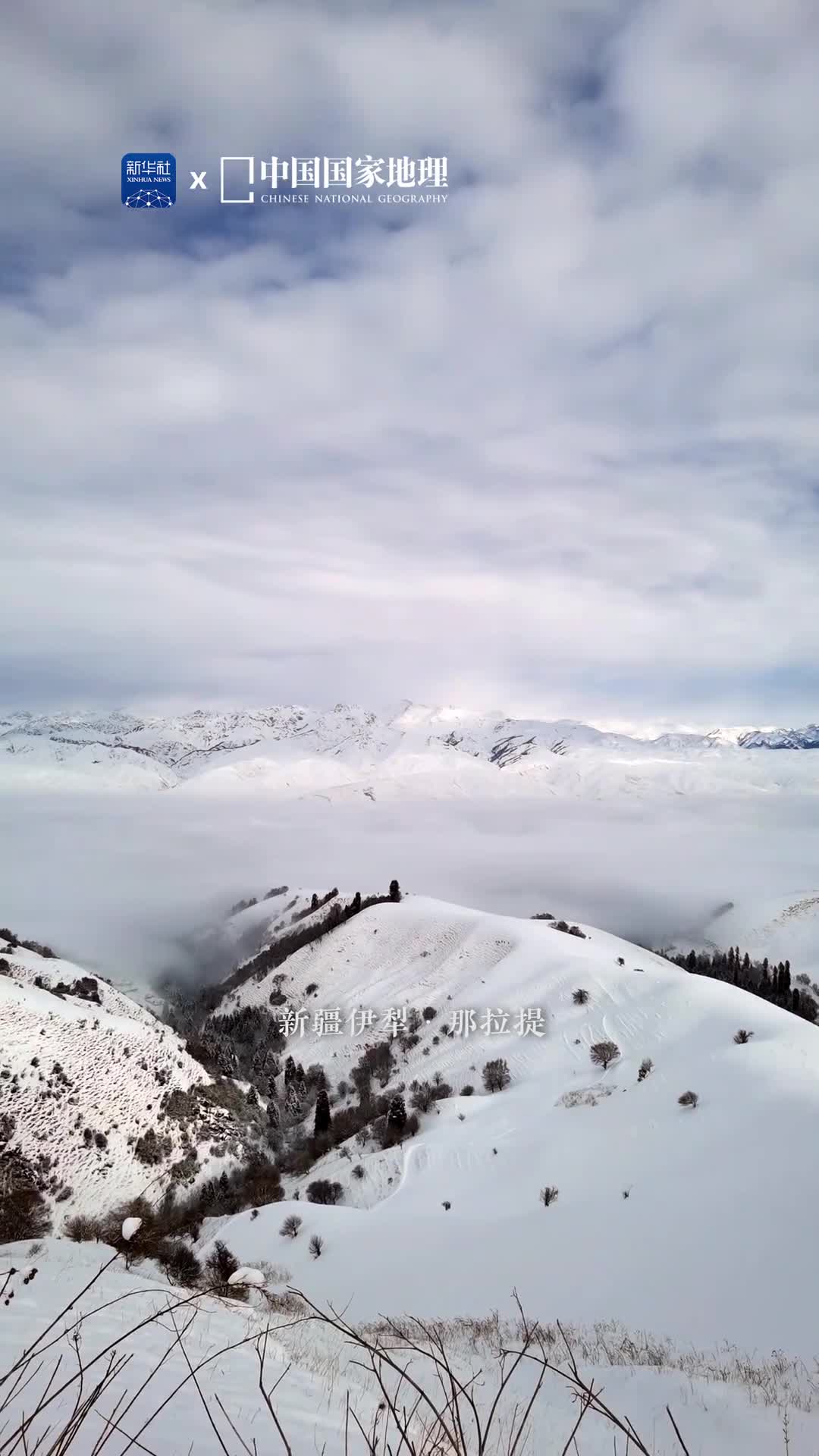 这是梦里才有的雪景吧冬雪为新疆伊犁的那拉提草原染上素雅的洁白肆意翻涌的云海拂过山岗一动一静自成风韵宛若梦中的场景