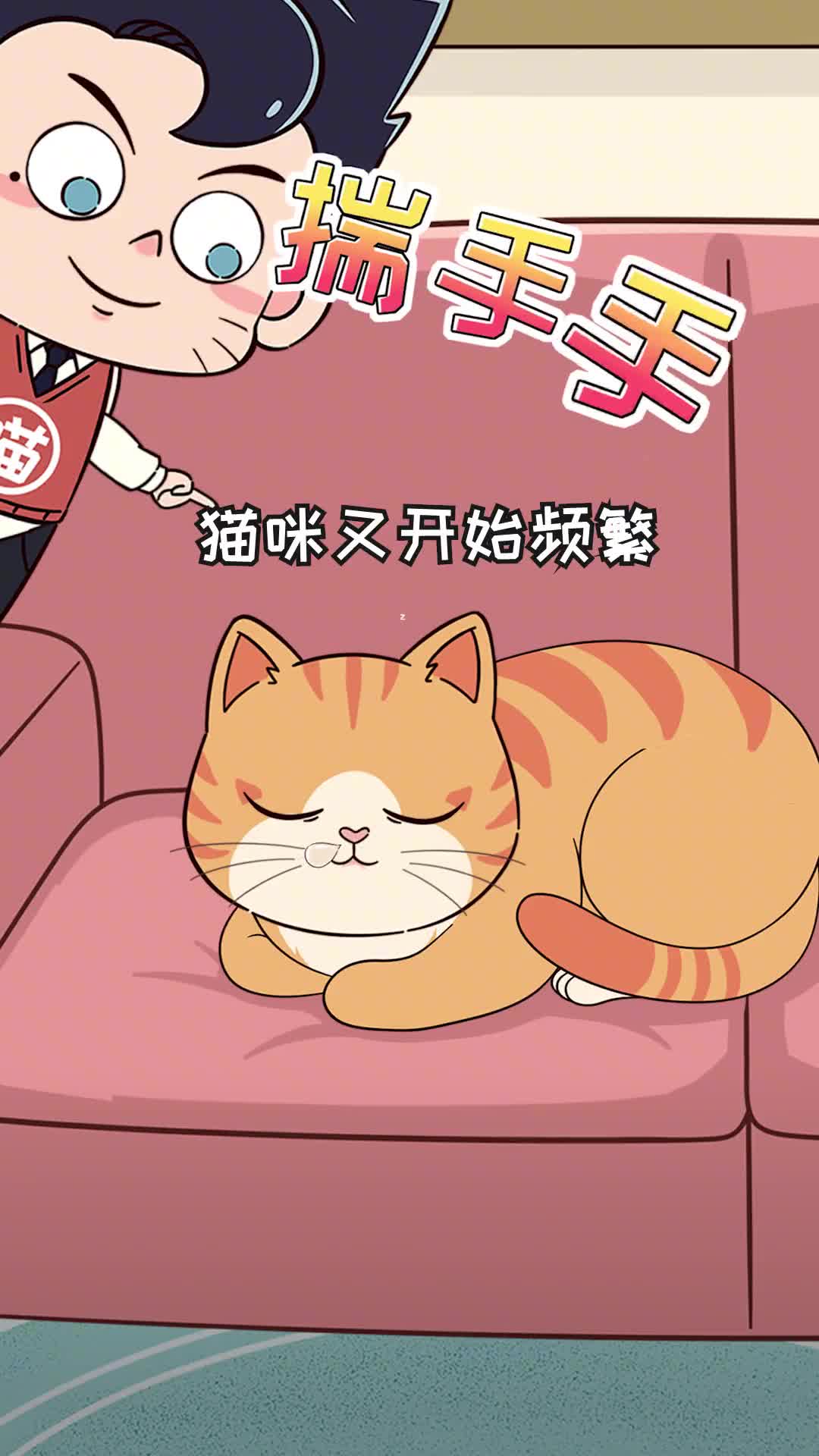 猫咪农民揣只是因为冷不不不还有其它原因