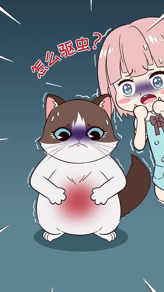 猫咪驱虫指南注意这几点才能有效驱虫你可能一直做错啦