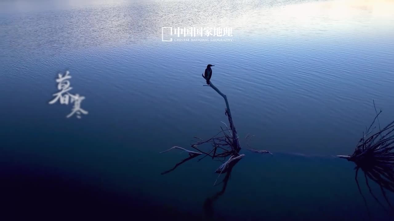 霜降秋暮风寒凝露结为霜天高气肃落木萧萧乡间阡陌岑寂林下深红浅黄在岁月的流转变换中欣然迎接秋之终章大自然删繁就简万物渐褪绚烂一年秋止光阴素净愿诸君沐霜而安